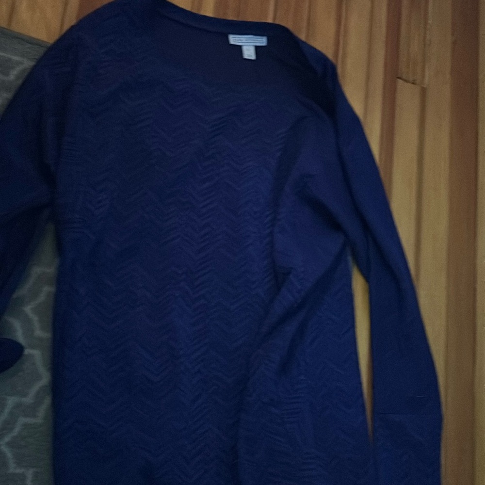 blue long sleeve dana buchman